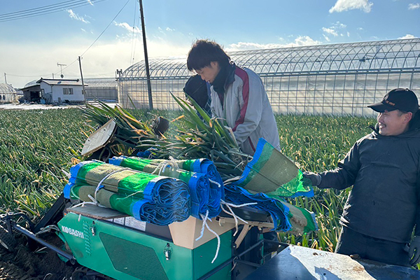 加工製品 - パスカファーム立沼｜宮城県東松島の野菜・米農家